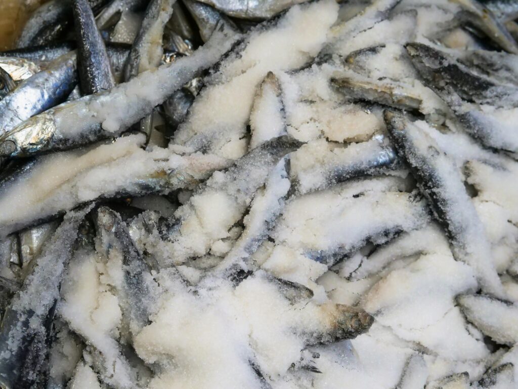 Nyandarua Farmers Benefit from New Cold Storage Facility in Ol Kalou A close-up of freshly salted fish on display at a local market highlighting texture and freshness.
